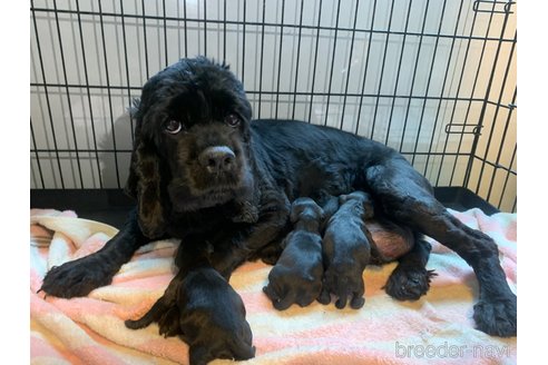 チェリーちゃん1枚目