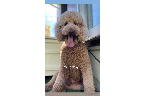 ベンティくん1枚目