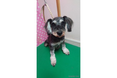 はあさちゃん1枚目