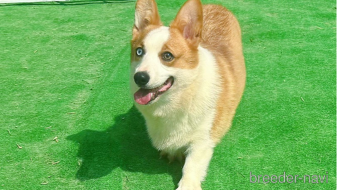 ちゃん1枚目