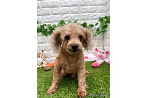 嵐くん1枚目