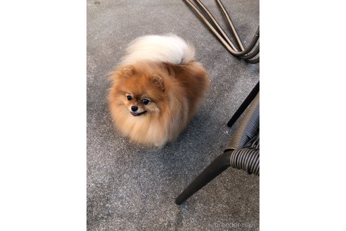 サニーちゃん1枚目