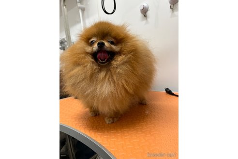 ジェロくん1枚目