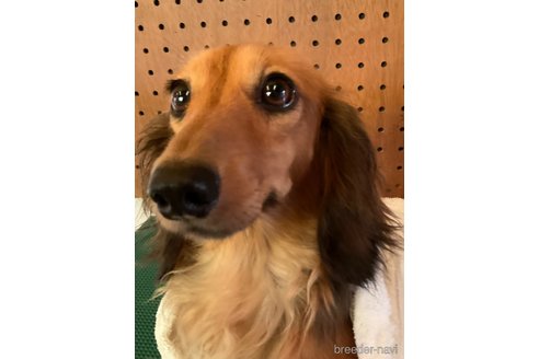 ちゃん1枚目