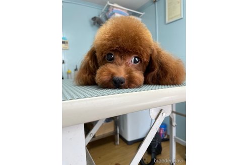 ララちゃん1枚目