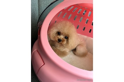 ちゃん1枚目