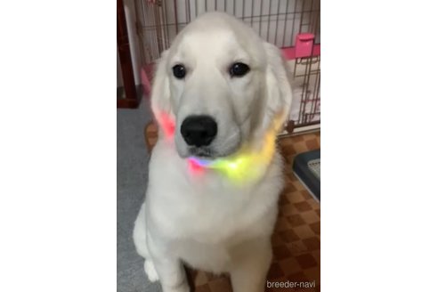ちゃん1枚目