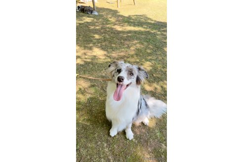 ジェニーちゃん1枚目