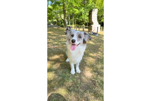 ジェニーちゃん1枚目