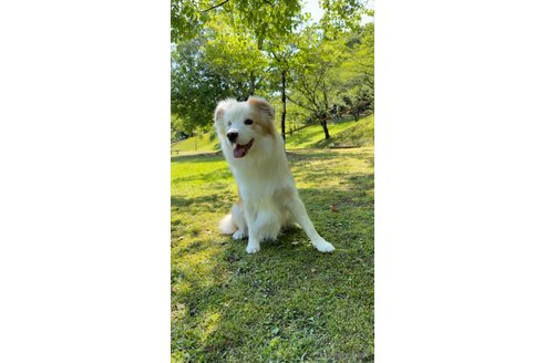 ベラちゃん1枚目
