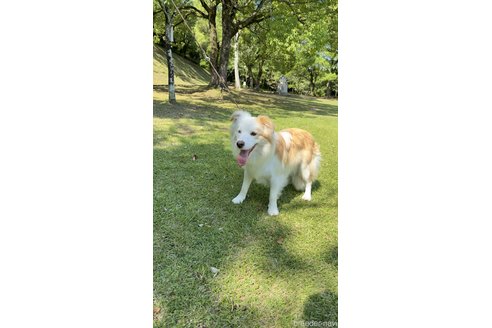 ベラちゃん1枚目