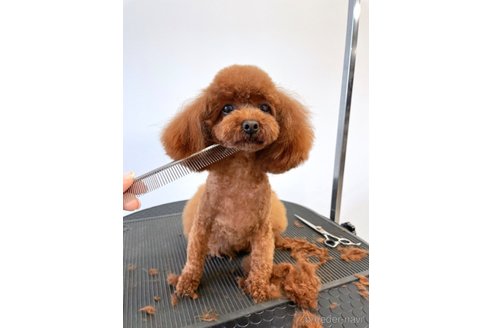 ネネちゃん1枚目