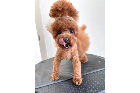 ネネちゃん1枚目