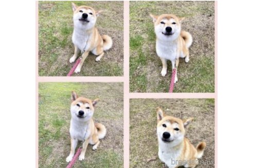 小夏ちゃん1枚目