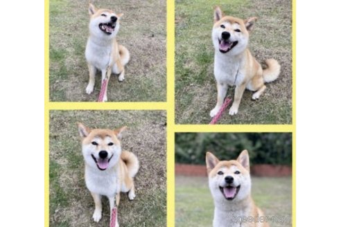 小夏ちゃん1枚目