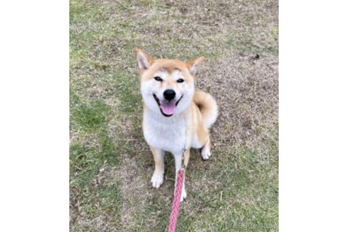 小夏ちゃん1枚目