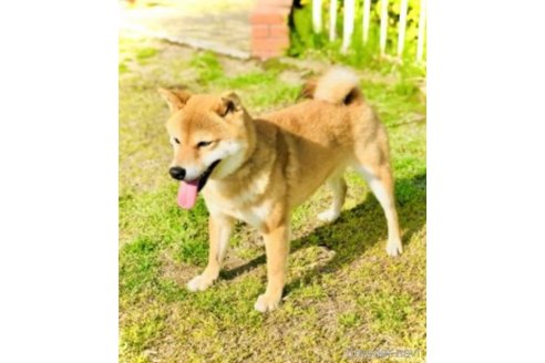 まめいちくん1枚目