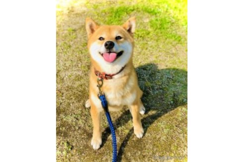 まめいちくん1枚目