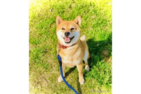 まめいちくん1枚目