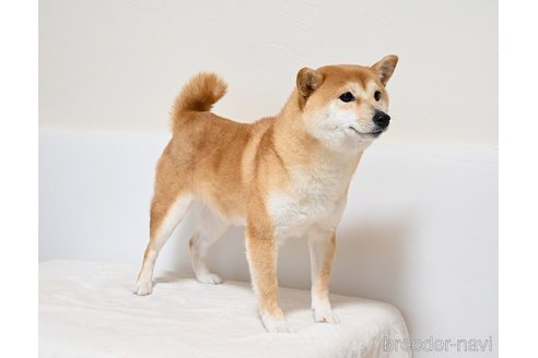 柚葉ちゃん1枚目