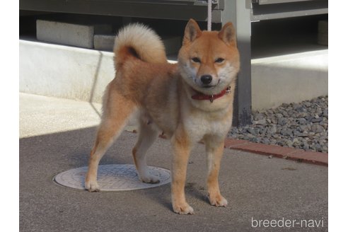 メイちゃん1枚目