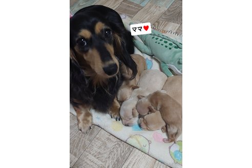 ちゃん1枚目