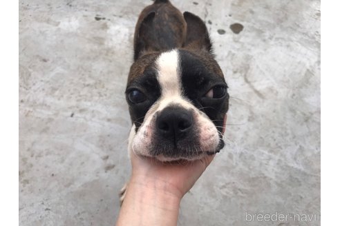 ラムちゃん1枚目