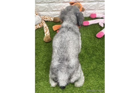 もなちゃん1枚目