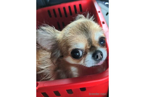 ユイちゃん1枚目
