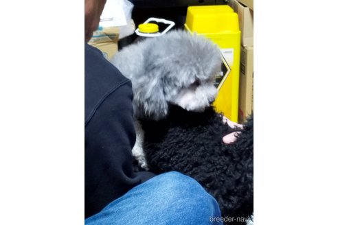 ジウくん1枚目
