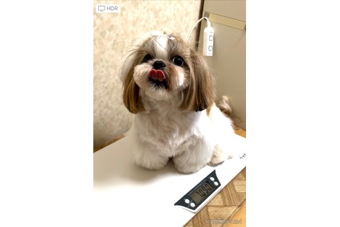 チナツちゃん1枚目