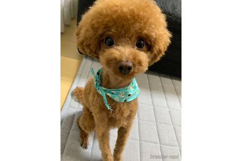 くん1枚目