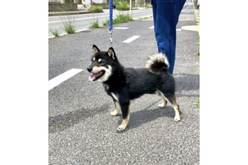 黒酢くん1枚目