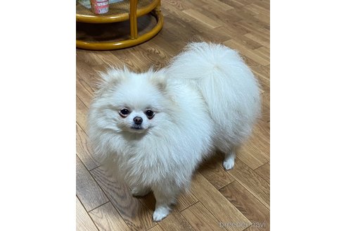 ななちゃん1枚目