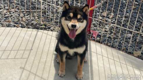 秀若くん1枚目