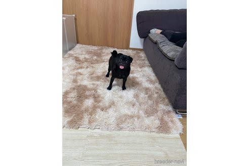 ニコちゃん1枚目