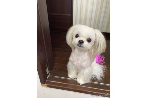 ちゃん1枚目
