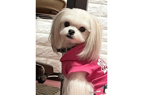ちゃん1枚目