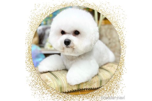 ちゃん1枚目