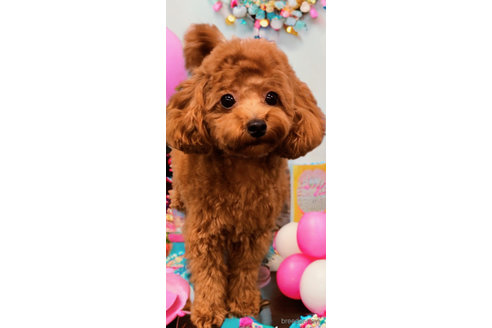 きいちゃん1枚目