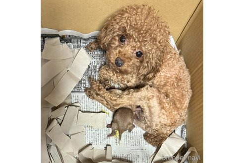 あきなちゃん1枚目