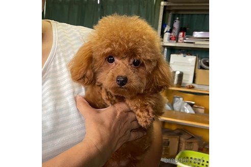 あきなちゃん1枚目