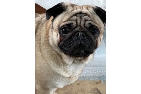 大吉くん1枚目