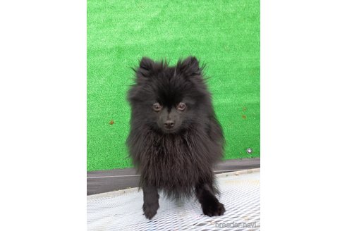 ベルくん1枚目