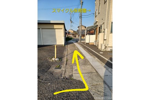 成約済の大阪府のトイプードル-306891の3枚目