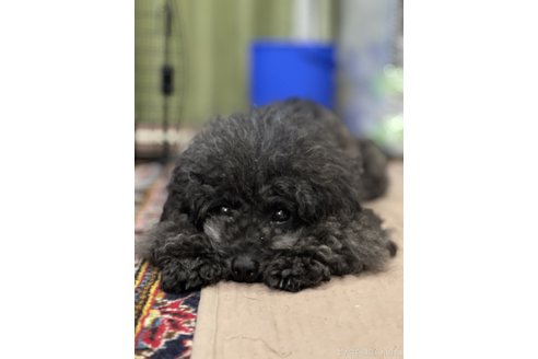 ハルちゃん1枚目