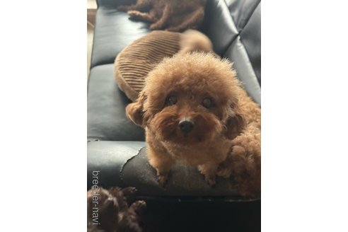 ちゃん1枚目