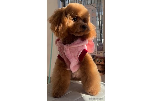 ちゃん1枚目