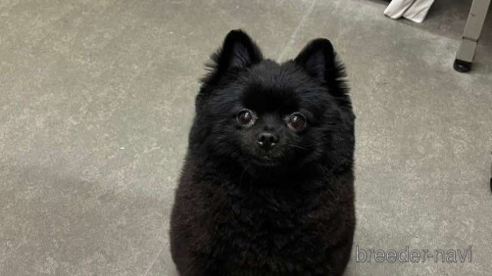 くまもんちゃん1枚目