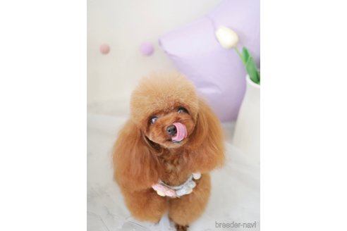 💕ティファニー💕ちゃん1枚目